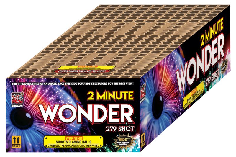 2 MINUTE WONDER